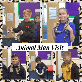 🦎 Animal Man Visits St John Bosco! 🐍🦉